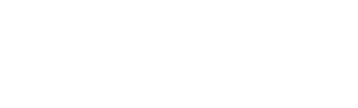 ZANE Developments