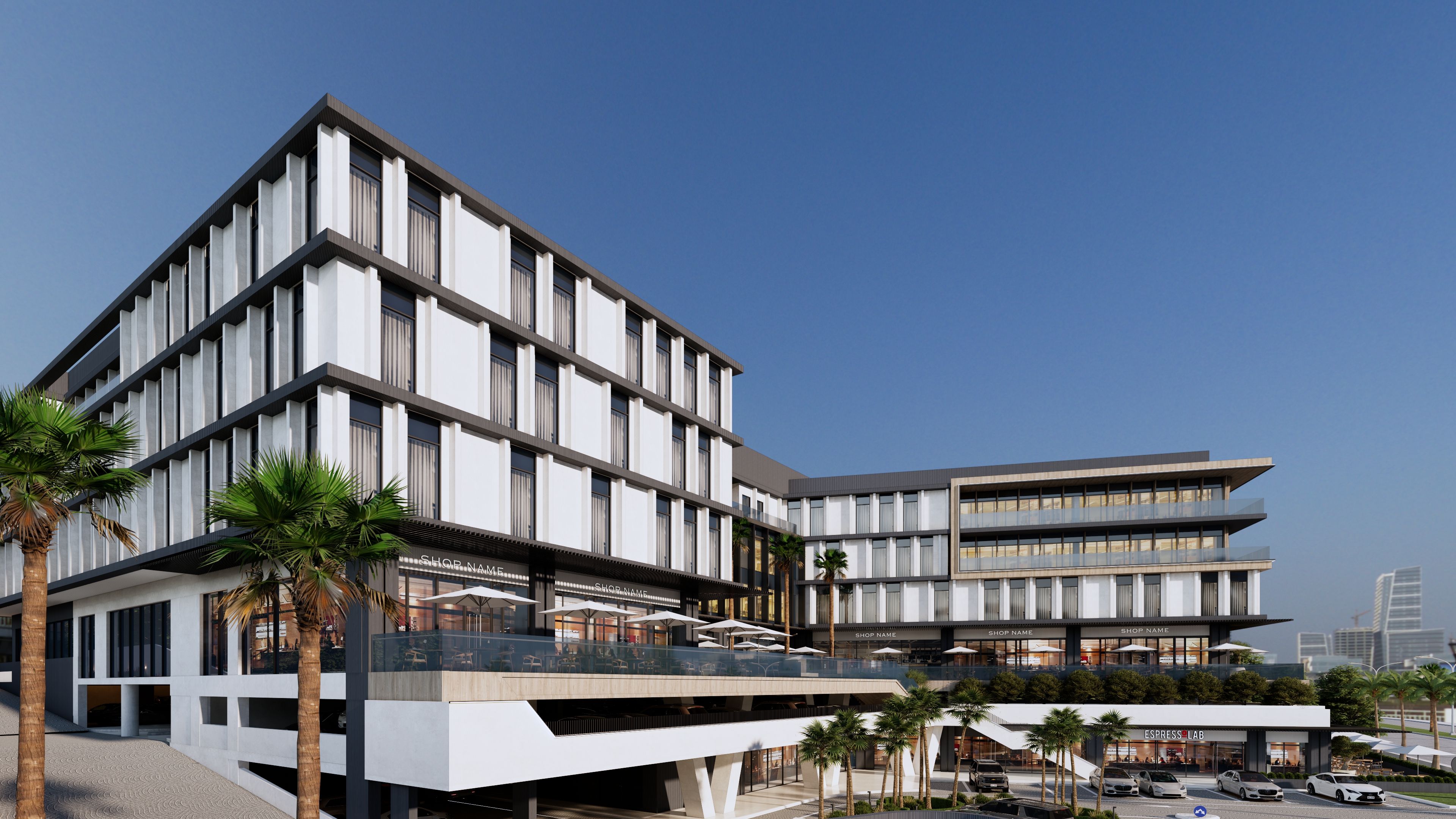 ZANE Architecture